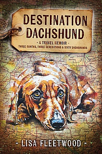 Destination Dachshund: Three Months, Three Generations & Sixty Dachshunds ebook cover