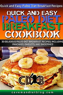 Quick Easy Paleo Diet Breakfast Cookbook ebook cover