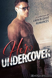 Hero Undercover: 25 Undercover Romances ebook cover