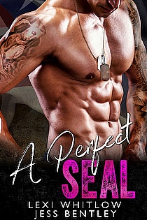 A Perfect SEAL ebook cover