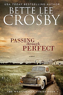 Passing through Perfect ebook cover