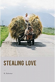 Stealing Love ebook cover