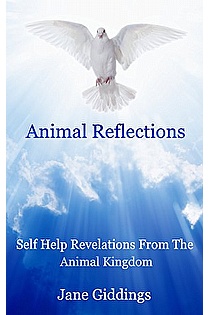 Animal Reflections ebook cover