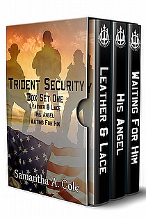 Trident Security Series - Book Set One ebook cover