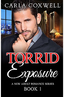 Torrid Exposure - Book 1 ebook cover