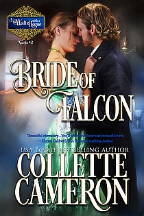 Bride of Falcon ebook cover