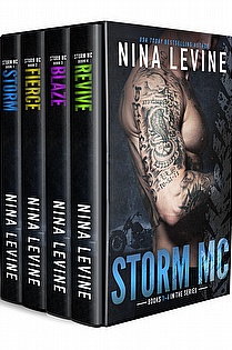 Storm MC Collection Books 1 - 4  ebook cover