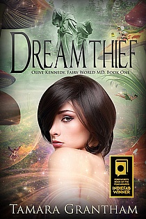Dreamthief, Fairy World MD, Book One ebook cover
