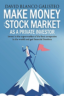 Make Money in the Stock Market as a Private Investor ebook cover