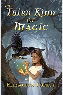 The Third Kind of Magic ebook cover