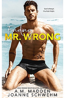 Finding Mr. Wrong ebook cover