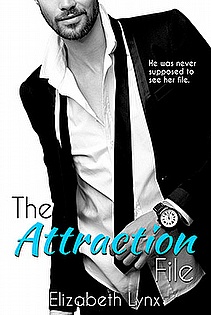 The Attraction File ebook cover
