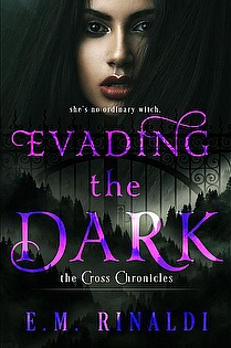 Evading The Dark ebook cover