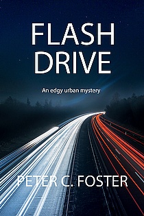 Flash Drive ebook cover