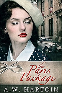 The Paris Package ebook cover