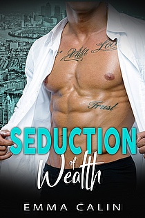 Seduction of Wealth ebook cover