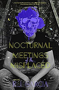 Nocturnal Meetings of the Misplaced ebook cover
