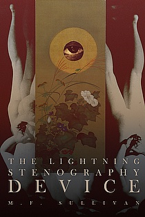 The Lightning Stenography Device ebook cover