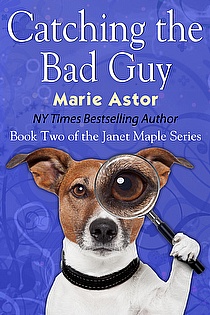 Catching the Bad Guy ebook cover
