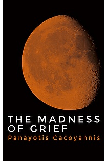 The Madness of Grief ebook cover