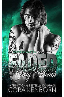 Faded Gray Lines ebook cover