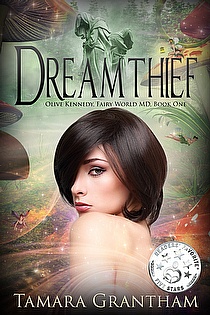 Dreamthief ebook cover