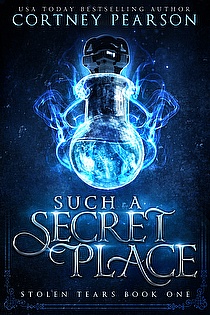 Such a Secret Place ebook cover