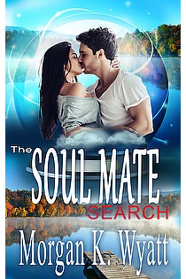 The Soul Mate Search ebook cover