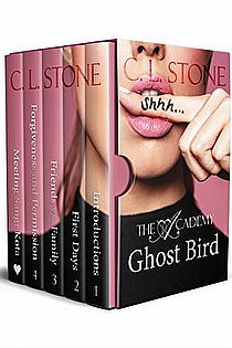 Ghost Bird I ebook cover