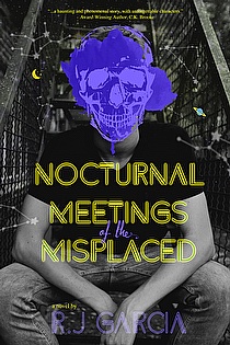 Nocturnal Meetings of the Misplaced ebook cover