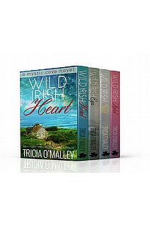 The Mystic Cove Boxed Set (Books 1-4) ebook cover