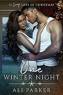 One Winter Night ebook cover