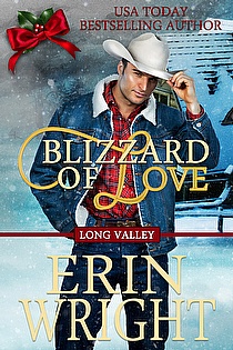 Blizzard of Love A Western Holiday Romance Novella ebook cover