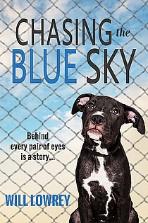 Chasing the Blue Sky ebook cover
