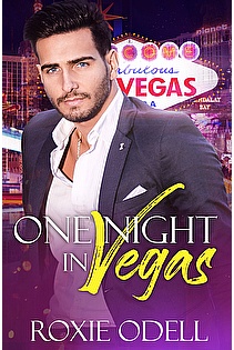 One Night in Vegas ebook cover