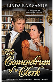The Conundrum of a Clerk ebook cover