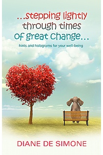 stepping lightly through times of great change ebook cover