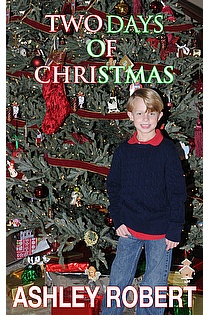 Two Days of Christmas ebook cover