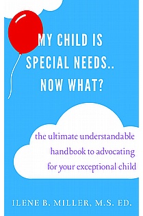 My Child Is Special Needs.. Now What? ebook cover