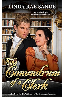 The Conundrum of a Clerk ebook cover