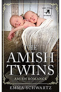 The Amish Twins ebook cover