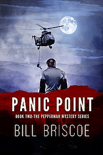 Panic Point ebook cover