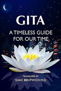 Gita - A Timeless Guide For Our Time ebook cover