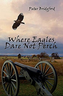 Where Eagles Dare Not Perch ebook cover
