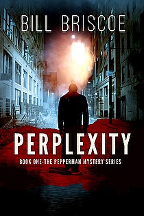 Perplexity ebook cover