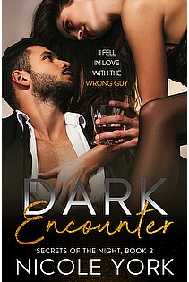 Dark Encounter ebook cover