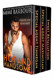 Hot and Handsome ebook cover
