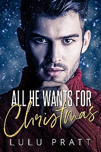 All He Wants for Christmas ebook cover
