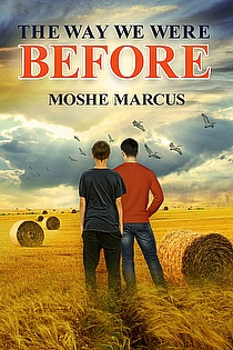 The Way We Were Before ebook cover