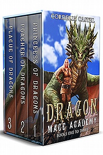 Dragon Mage Academy: 1-3 ebook cover